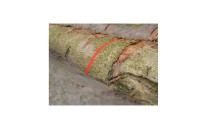 Značkovací sprej Soppec FLUO MARKER Značkovací sprej Soppec FLUO MARKER