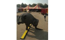 Kabelový most s víkem Kabelový most s víkem