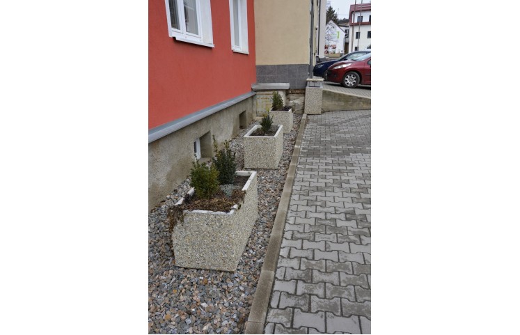 Truhlík Flores Truhlík Flores